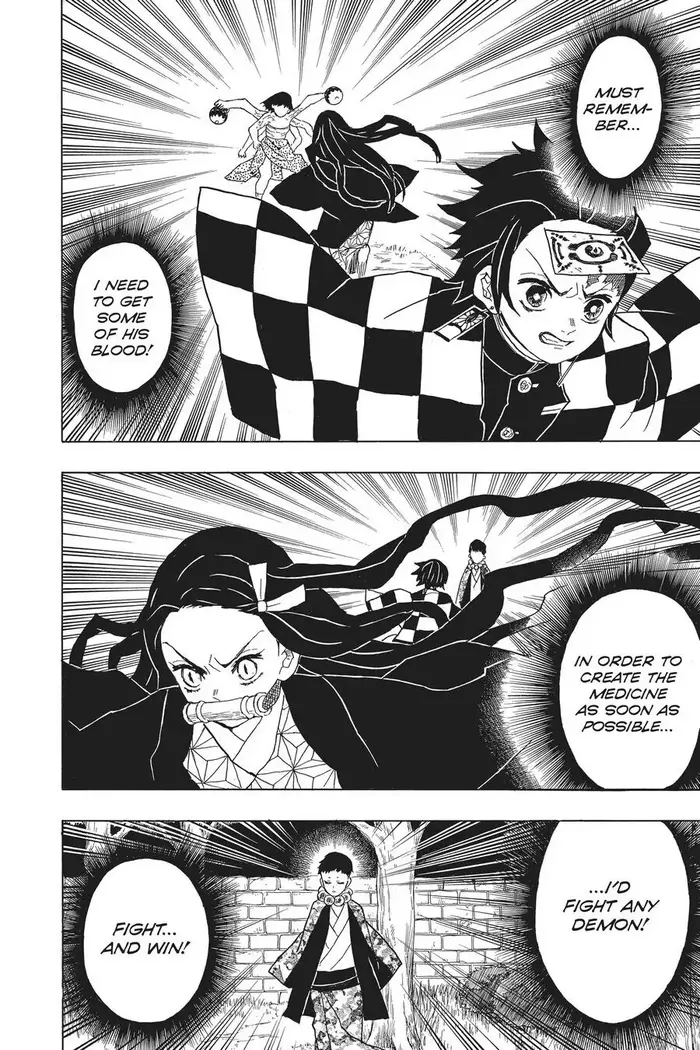 Demon Slayer Chapter 17 image 12_optimized